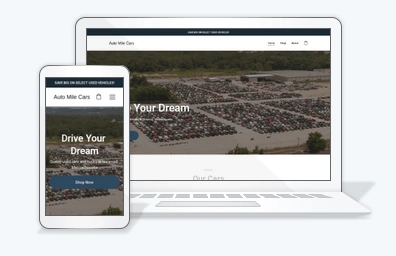 Automile website img